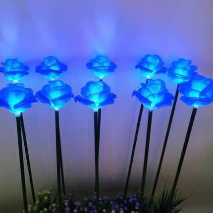 藍(lán)色塘膠玫瑰